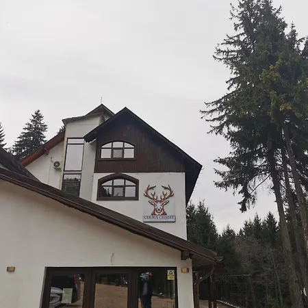 Cerbul & Wellness 酒店 Rîşnov