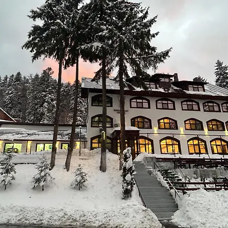 Cerbul & Wellness Hotel 3*